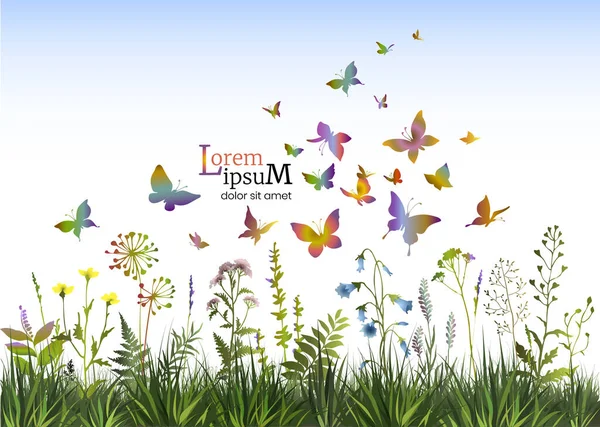 Цветочный фон с травами, цветами и бабочками. Весна или летний фон. — стоковый вектор