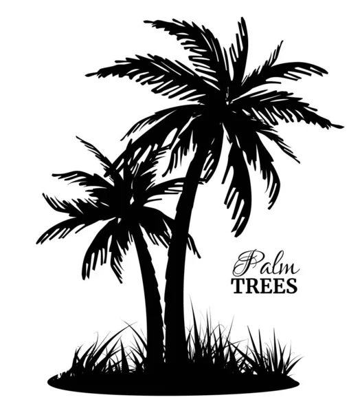 Dos siluetas negras de palmeras. Isla exótica. — Vector de stock