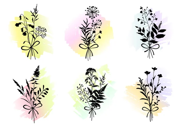 Conjunto de buquês com ervas e flores em fundos aquarela. Elementos de design floral. — Vetor de Stock