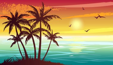 Tropik deniz manzarası, gün batımı ve palmiye ağaçlarının siluetleri. Soyut manzara. Tropik ada.