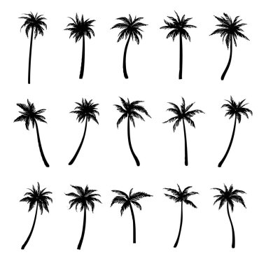 Palmiye ağaçlarının siyah siluetleri. Vektör illüstrasyonu