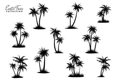 Group of palm trees silhouettes with peace of land. Vector illustration clipart