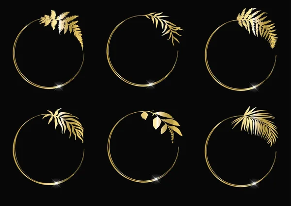 Κορνίζες Floral σύνολο. Στρογγυλό χρυσό πλαίσιο με βότανα και φύλλα σε μαύρο φόντο. — Διανυσματικό Αρχείο