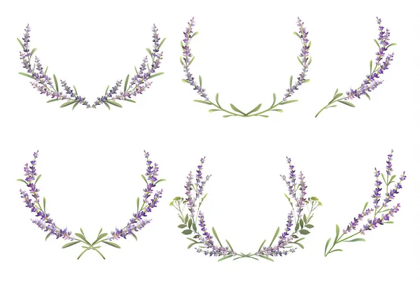 Conjunto de coroas coloridas de lavanda. Ilustração vetorial — Vetor de Stock