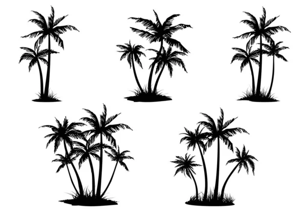 Set of black palm trees groups silhouettes. — Stock Vector