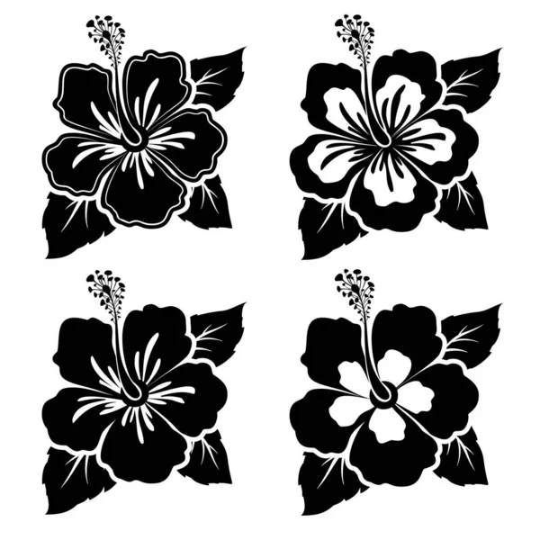 Conjunto de flores de hibisco preto-branco com folhas. Elementos de design plano. Ilustração vetorial — Vetor de Stock