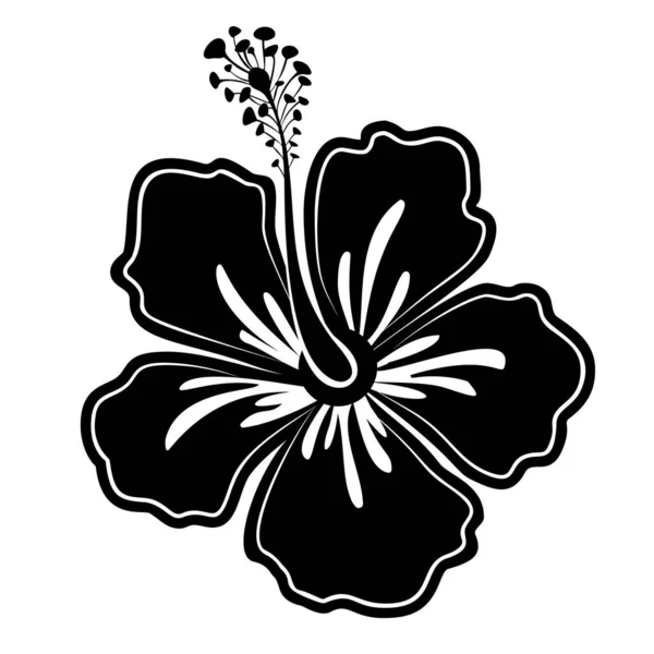 Flor de hibisco preto-branco. Flor exótica. Ilustração vetorial — Vetor de Stock