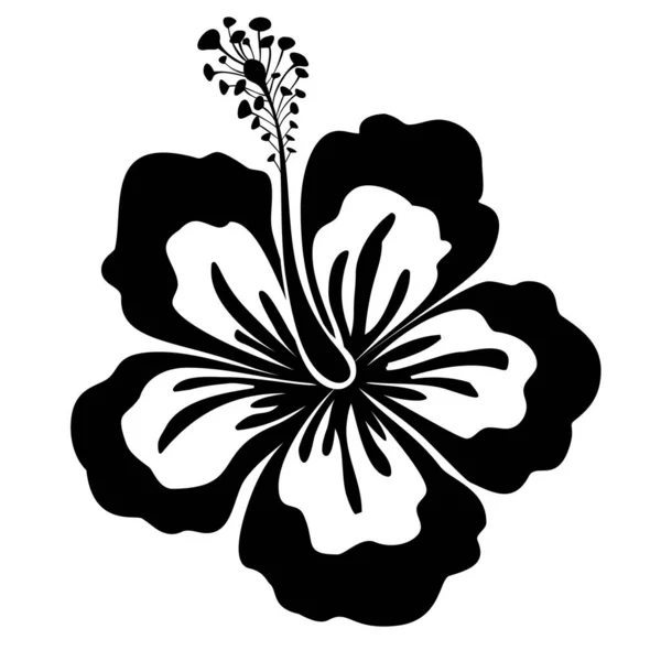 Flor de hibisco preto-branco. Elemento de design plano. Ilustração vetorial — Vetor de Stock