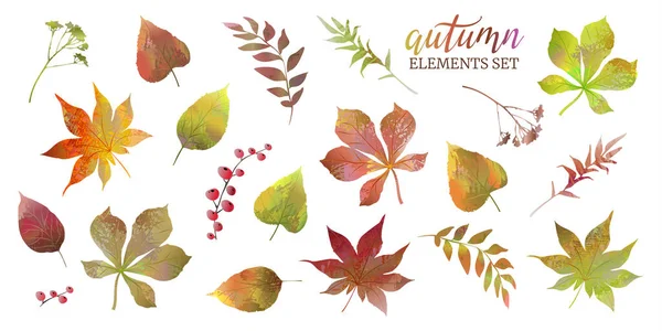 Осінній набір з різнокольоровими листям, гілками та ягодами. Елементи вашого дизайну . — стоковий вектор