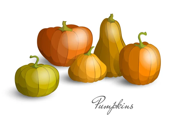 Pumpkin set for Thanksgiving or Halloween day. Fall harvest pumpkins. Horizontal banner design template for market, website or thanksgiving day backgrounds. — Stock Vector