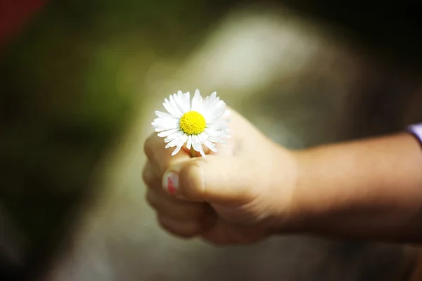 Child's hand — Stock Photo, Image