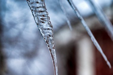 Baharda birkaç şeffaf erimiş ince buz saçağının detaylı görüntüsünü kapatın. Çok bulanık, kırmızı, beyaz, mavi tonda, İsveç eviyle..