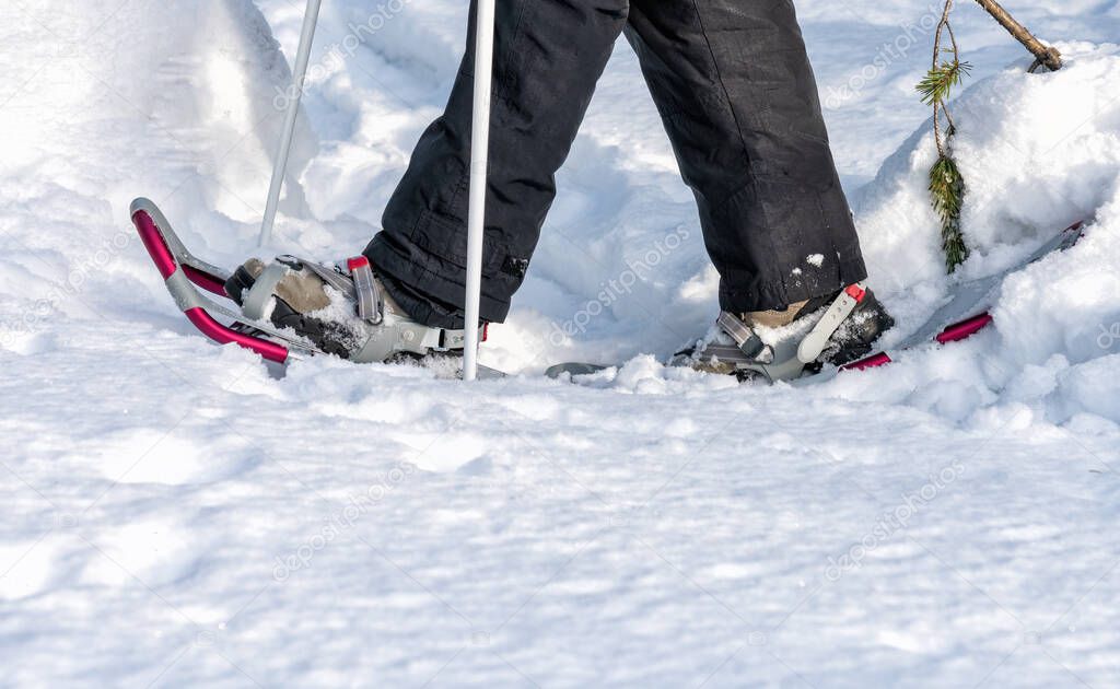 Close up of girl snow shoes walking in white fluffy snow, ski poles