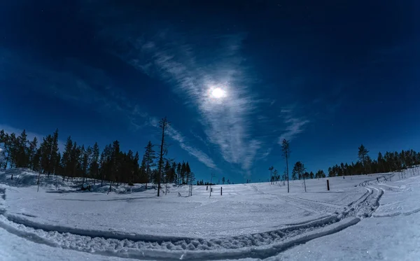 Fullmåne Ljus Över Vintern Snöig Skog Mörkblå Natthimmel Med Stjärnor — Stockfoto