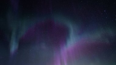 Güzel kıvrımlı Aurora Borealis. Parlak yeşil macenta ve mor ışıklar bulutsuz, yıldızlı gece gökyüzü. Kuzey yarımkürede bir sürü gerçek yıldız, soğuk kış