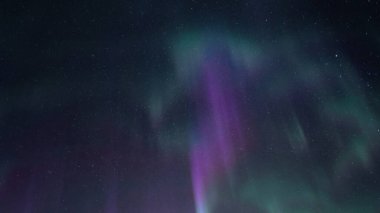Güzel düz Aurora Borealis - parlak yeşil mor ve mor dikey ışık çizgileri bulutsuz, yıldızlı gece gökyüzü. Kuzey yarımkürede bir sürü gerçek yıldız, soğuk kış