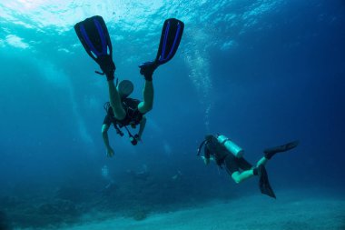 Ön planda birbirine yakın yüzen iki dalgıcın ve bulanık mavi suda üç dalgıcın daha yakın fotoğrafını çek. Işık yüzeyi, su altından gelen hava kabarcıkları. Tropikal Scuba Dalgıçları