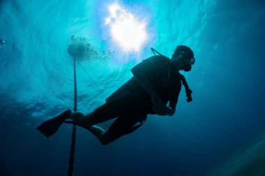 Genç dalgıcın silueti deniz yüzeyinde güneş ışığına karşı ve çelik çapa zincirinde asılı. Nefes alırken hava kabarcıkları çıkıyor. Tropik denizde tüplü dalış