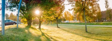 Sonbahar ağaçlarının arasından parlayan yükselen güneşin geniş manzarası, park yeri, sabahın erken saatleri, açık gökyüzü, ıslak asfalt. Kuzey İsveç, Umea.