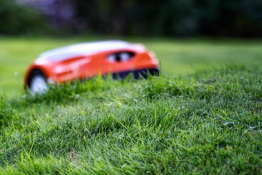 Otomatik çim robotu çim biçme makinesi çim yamacına kadar gidiyor. Kasıtlı olarak çim biçme makinesi bulanıklığı. Ön plan olarak keskin çimler ile yan görünümü kapatın