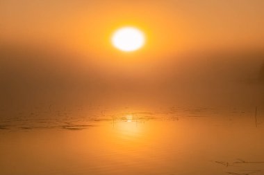 Büyük turuncu güneşli gölün üzerindeki manzara sisli gündoğumu yansıması. Fotoğrafı kapat, boşluğu kopyala
