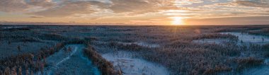 Panoramik hava manzarası, karla kaplı geniş bir ormanı bembeyaz ağaçlarla kaplı, alçak güneşin sıcak altın ışığıyla aydınlatılmış, sakin kış manzarası yaratıyor.