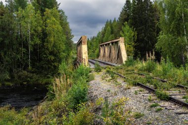 Terk edilmiş eski demiryolu köprüsü paslanmış metal kirişleri ve karanlık bir nehrin üzerinde uzanan, bulutlu bir gökyüzünün altında yoğun yeşil ormanla çevrili aşırı gelişmiş rayları var.
