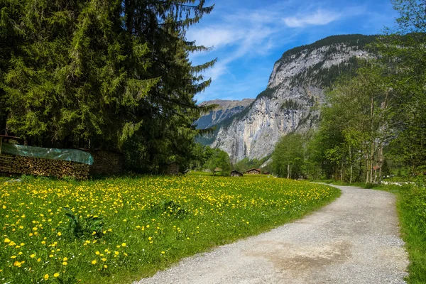 Pěší stezka ve švýcarských Alpách — Stock fotografie