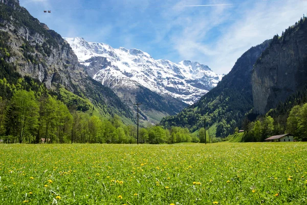 Campo verde en la base de los Alpes suizos — Foto de Stock