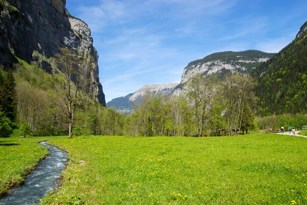 Campo verde en la base de los Alpes suizos — Foto de Stock