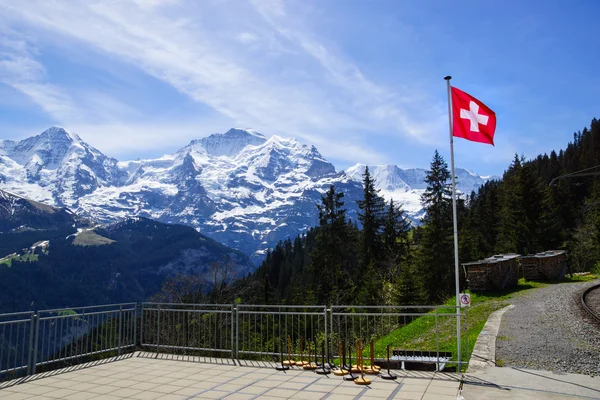 Bandera suiza con montañas cubiertas de nieve detrás — Foto de Stock