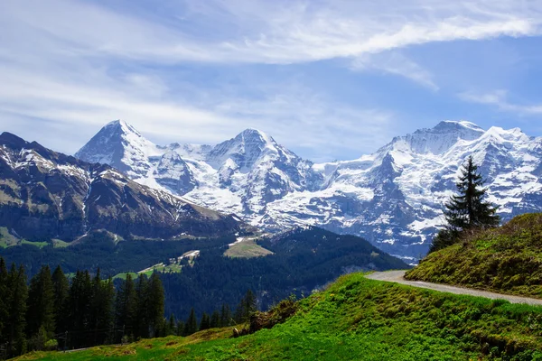 Sendero por los Alpes suizos — Foto de Stock