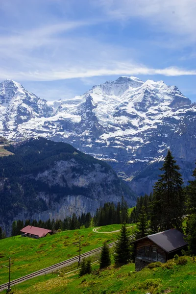 İsviçre Alpleri çalışan tren hattı — Stok fotoğraf