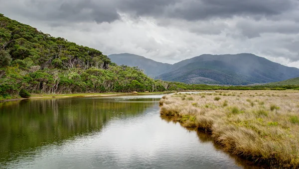 Přílivová řeka v Wilsonovým Promontory NP — Stock fotografie