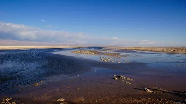 Salar de Atacama, Chile — Stock Fotó