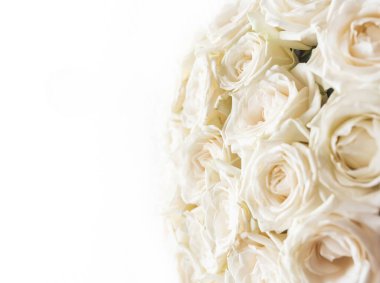 Kopya alanı olan güller. Bir grup beyaz gül, düğün süsleri. İzole beyaz güller