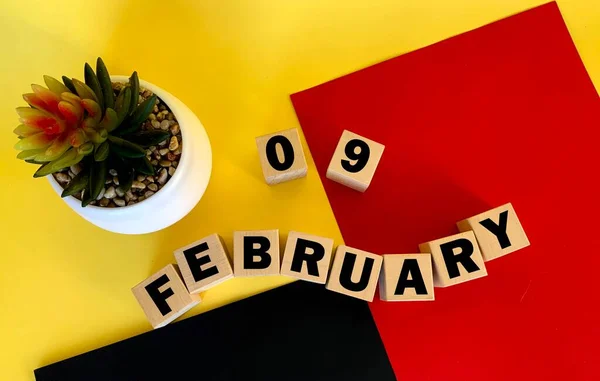 Febrero Cubos Madera Junto Ella Hay Una Olla Con Cactus — Foto de Stock