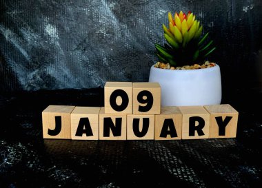 9 Ocak 'ta tahta küplerle ilgili siyah bir arkaplanda. Hemen yanında da çiçekli bir demlik. Ocak ayı takvimi. .