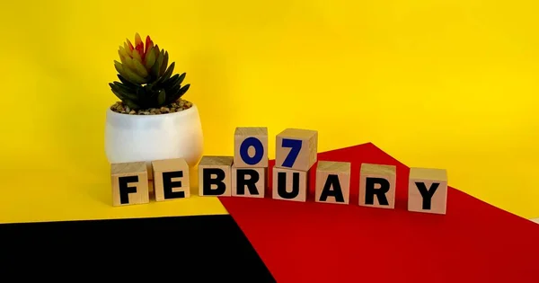 Febrero Cubos Madera Sobre Fondo Negro Rojo Amarillo Multicolor Calendario — Foto de Stock