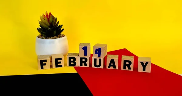 Febrero Cubos Madera Sobre Fondo Multicolor Amarillo Rojo Negro Calendario — Foto de Stock