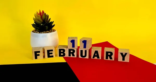 Febrero Sobre Cubos Madera Fondo Negro Rojo Amarillo Multicolor Calendario — Foto de Stock