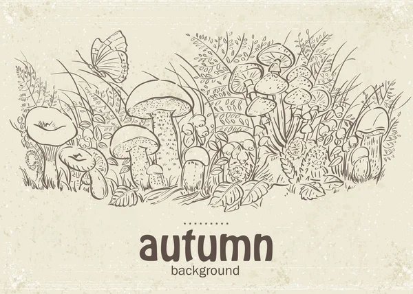 Иллюстрация осенних грибов, травы и бабочек в петле — стоковый вектор