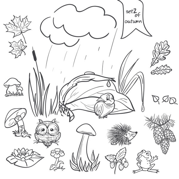 Autumn collection with images of birds, animals, fungi, flowers, cones for the kids in black contour. Set 2.