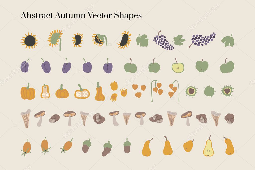 Vector abstract Autumn harvest organic elements and shapes in Boho style. Good for wall decoration, postcard or brochure cover design. Minimalist Mid century modern Fall.