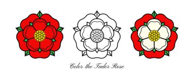 Tudor gül vektörü ikonu izole edildi. İngiltere 'nin geleneksel kraliyet amblemi. Lancaster ve York 'taki güllerin savaşı.