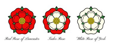 Tudor gül vektörü ikonu izole edildi. İngiltere 'nin geleneksel kraliyet amblemi. Lancaster ve York 'taki güllerin savaşı.