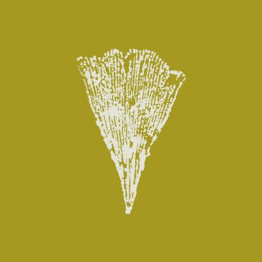 Ginkgo Biloba yaprak vektör çizimi. İzole edilmiş Japon yaprakları. Sonbahar grunge el boyaması eskiz. Sağlık, ilaç, kaplıca, duvar kağıdı tasarımı için bitkisel altyapı.