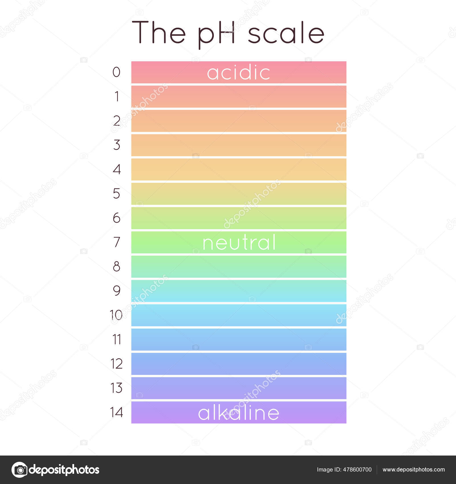 Vector Scale Acidic Normal Alkaline Diagram Rainbow Laboratory Paper