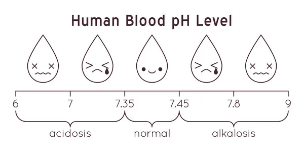 Vector Scale Human Blood Acidic Normal Alkaline Diagram Rainbow Laboratory — Stock Vector