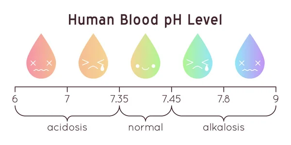 Vector Scale Human Blood Acidic Normal Alkaline Diagram Rainbow Laboratory — Stockový vektor